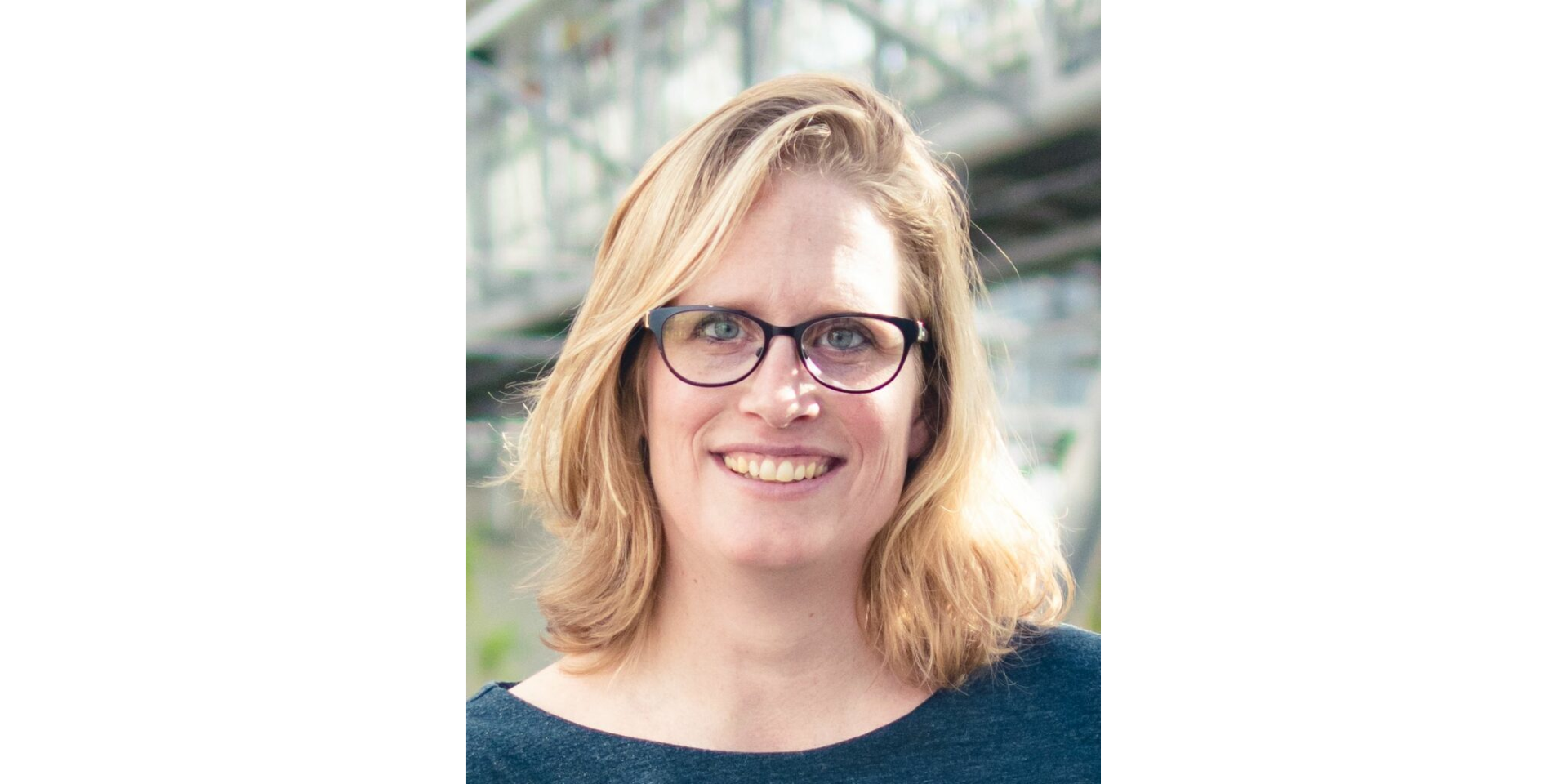 You are currently viewing Introduction: Anne Land